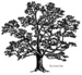 News from Landis Arboretum