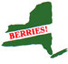 News from New York State Berry Growers Association