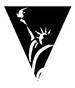 News from New York Physical Therapy Association